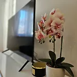 Marevic Appartement *