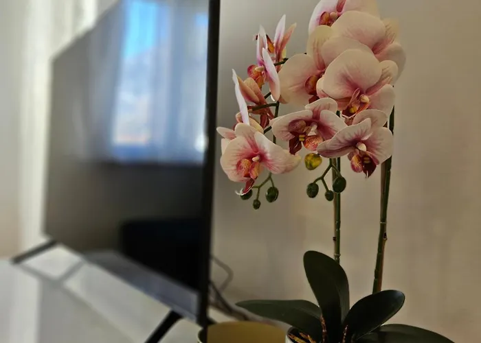 Marevic Апартаменти *